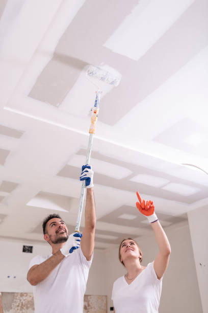 Best Ceiling Drywall Installation  in Lake Of The Pines, CA